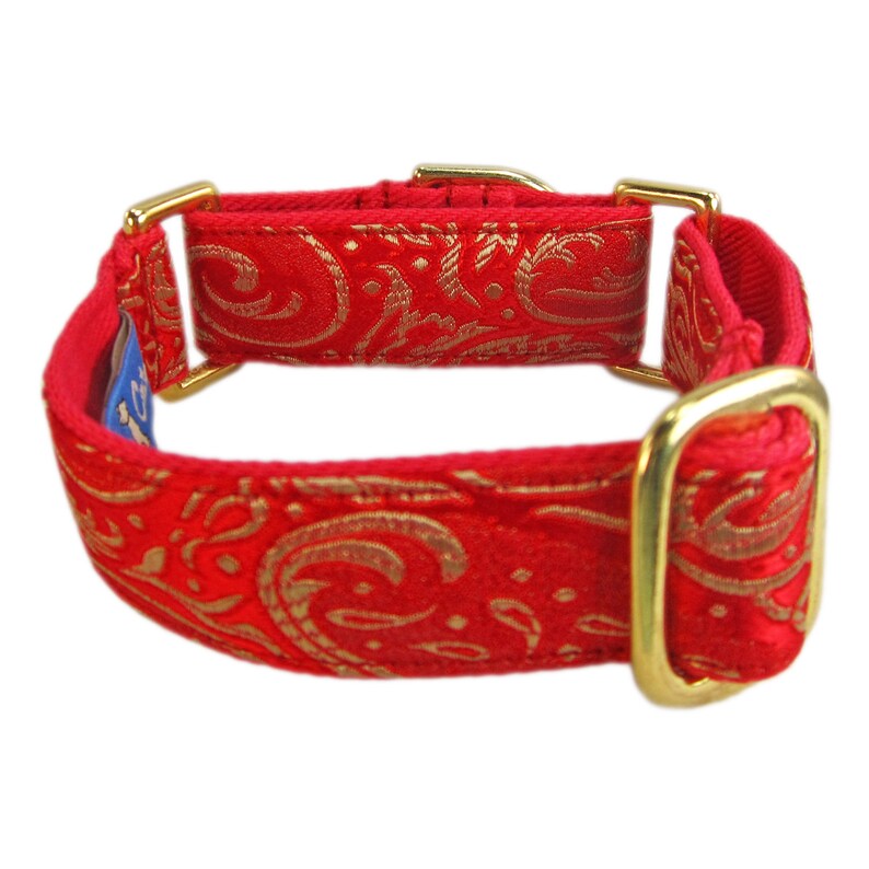 Fancy Dog Collar Martingale Dog Collar for Greyhounds Made Etsy