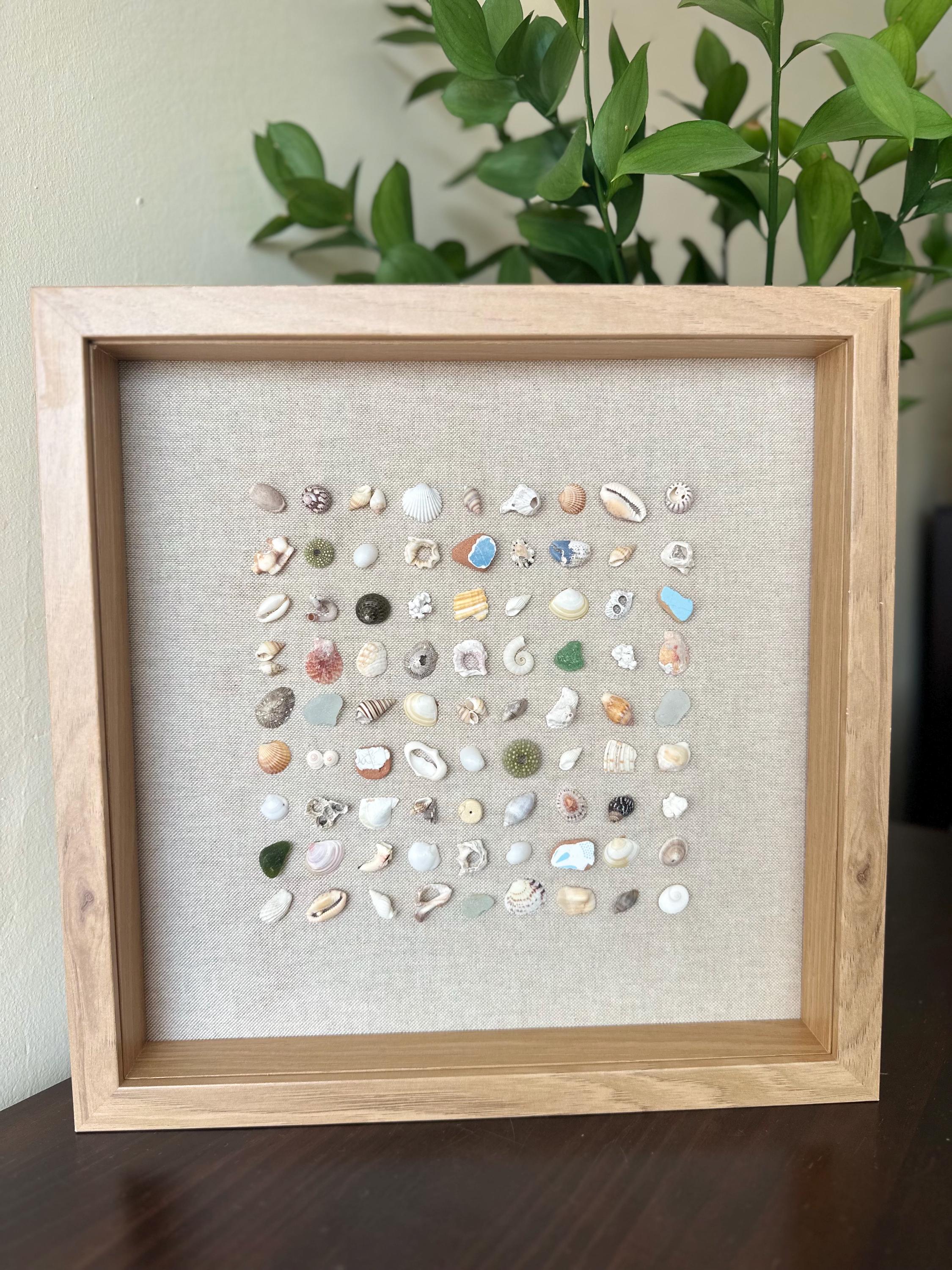 Seashell & Sea Glass Grid Art | Coastal Wall Decor | Framed Ocean Art ...