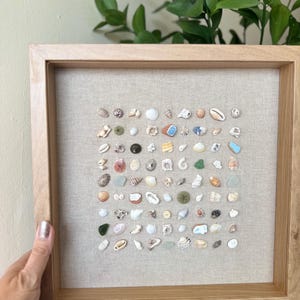 Seashell & Sea Glass Grid Art | Coastal Wall Decor | Framed Ocean Art | Handcrafted Shell Artwork