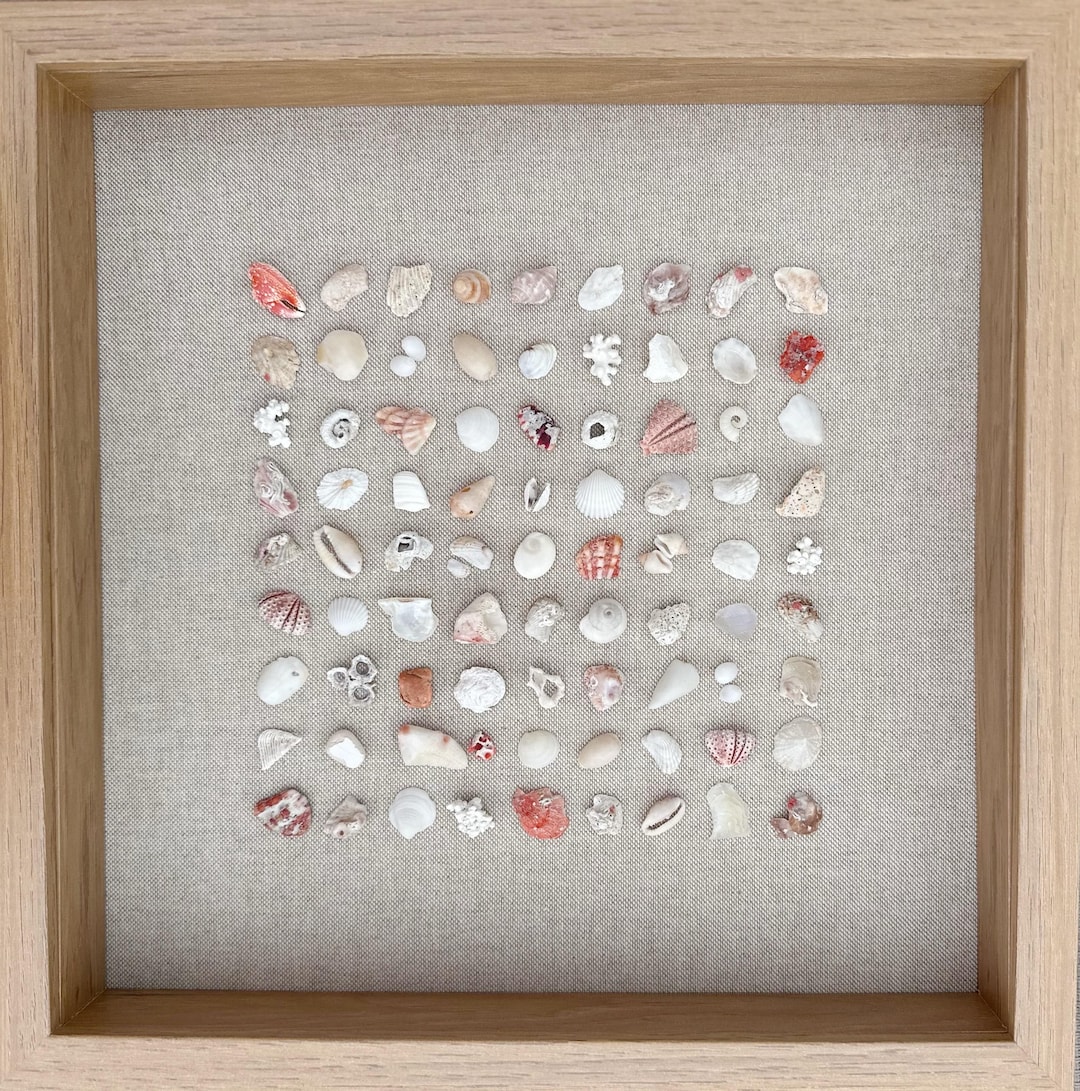 Handcrafted Seashell Wall Art | Minimal Grid Design | Framed Coastal ...