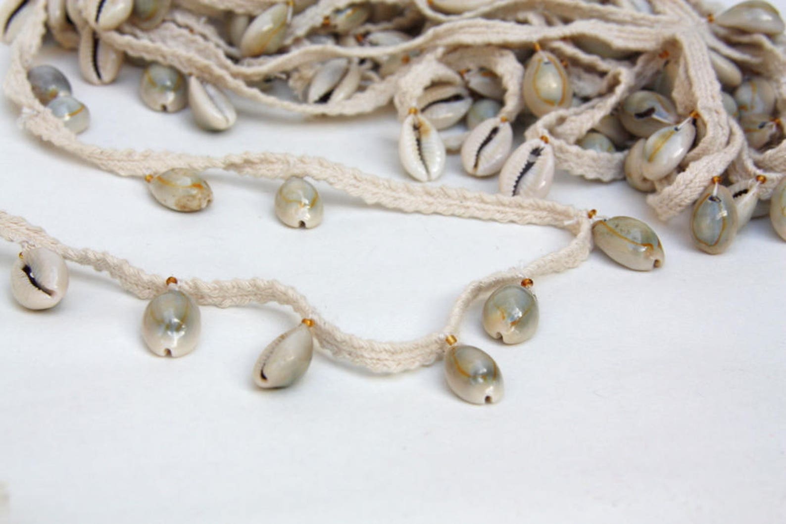 Cowrie Shell Trim Shell Trim Lace Sea Shell DIY Jean Jacket Etsy Canada