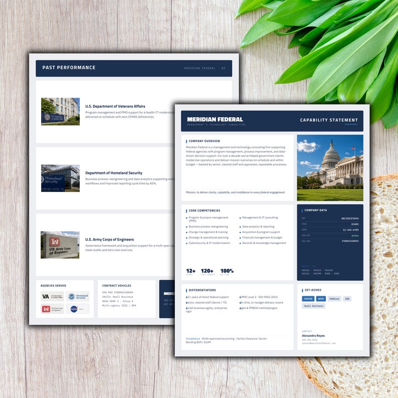 Capability Statement Template Canva | Government & Federal Capability Statement | Small Business Contractor Company Profile Editable

federal capability
government capability
federal government
capability statement
company profile
capability canva
capability design
consultant template
contractor template
rfp proposal
capability template
capability doc
professional profile