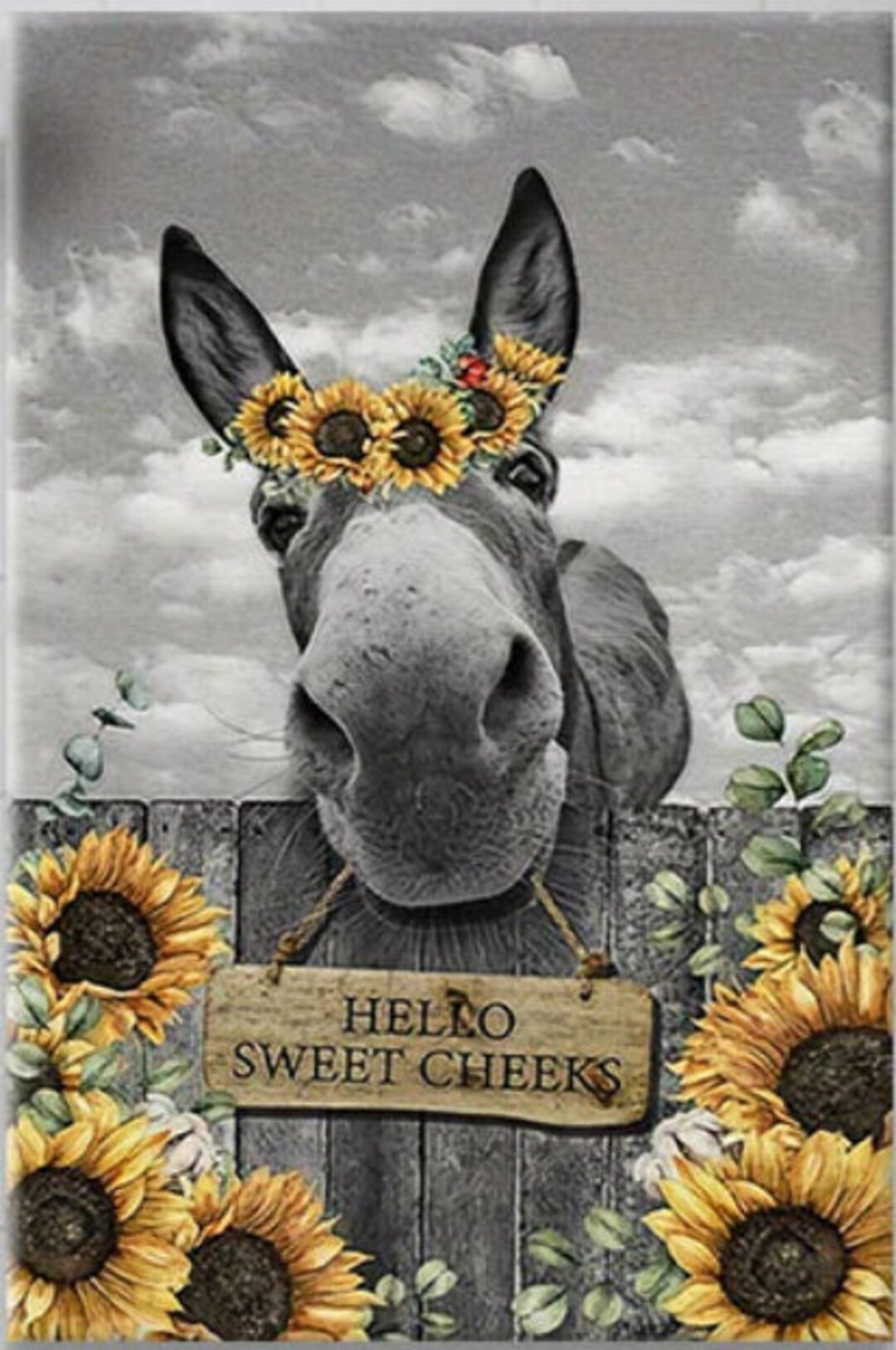 Funny Donkey Wall Art 8X12 METAL SIGN Farmhouse Bathroom Etsy