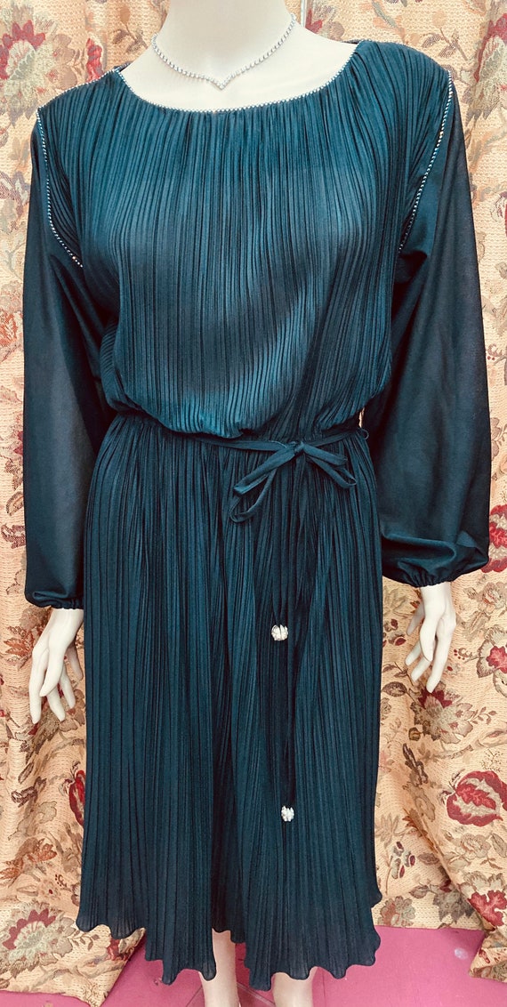 Vintage 70s Dress.Sheer Black Dress.Black Pleated… - image 2