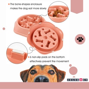 Anti Gulp Dog Bowl - Etsy