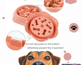 Anti-Gulping Dog Bowl: Interactive Slow Feeder, Healthy Eating