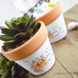 May include: Two small terracotta pots with succulents. The pots have a white base with the text "ASK OF in James" and a floral design. One pot contains a succulent, the other has decorative eggs.