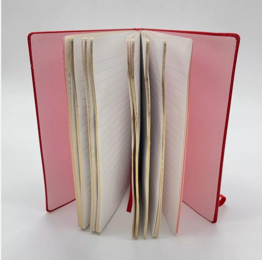 100% Authentic! Louis Vuitton Red Notebook Gustave MM Pink