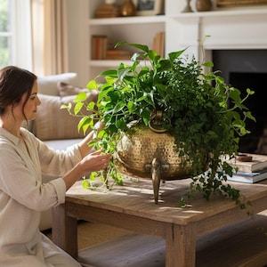 May include: A large, antique brass planter filled with lush green plants sits on a rustic wooden coffee table. The planter has a hammered texture, ring handles, and decorative feet. The scene is set in a bright, airy living room.