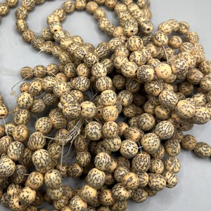 May include: Strands of cream-colored beads with a speckled, dark pattern. The beads are round and strung together, creating a textured and organic appearance. The beads are likely used for jewelry making or other craft projects.