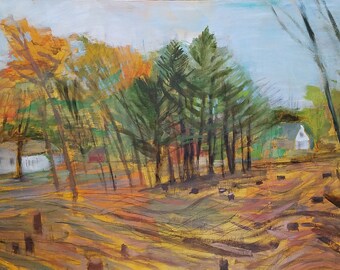 Taking the Long View (Neighborhood Homes) - original art, plein air acrylic large painting - by Irene Stapleford - wantknot shop