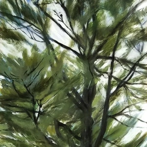 以下が含まれることがあります： 白い背景に緑の葉と枝を持つ木の絵。枝は太くて暗く、葉は明るい緑色をしています。絵は、ゆったりとした印象派のスタイルで描かれています。