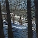Irene Stapleford