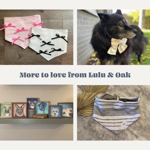 K&ouml;nnte beinhalten: Eine Collage aus Bildern mit Hundehalst&uuml;chern und Hundeportraits. Das erste Bild zeigt drei Halst&uuml;cher mit rosa und schwarzen Schleifen. Das zweite Bild zeigt einen schwarzen Hund, der eine wei&szlig;e Fliege tr&auml;gt. Das dritte Bild zeigt ein blau-wei&szlig; gestreiftes Halstuch. Das vierte Bild zeigt eine Sammlung von gerahmten Hundeportraits.