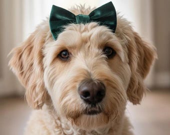 Lazo de terciopelo para el pelo de perro, pinza para el pelo de mascota, lazo con nudo, accesorio para cachorros
