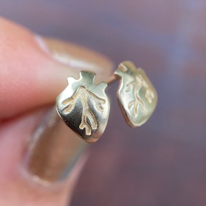 Gold Heart Posts: 14k yellow gold anatomical stud earrings