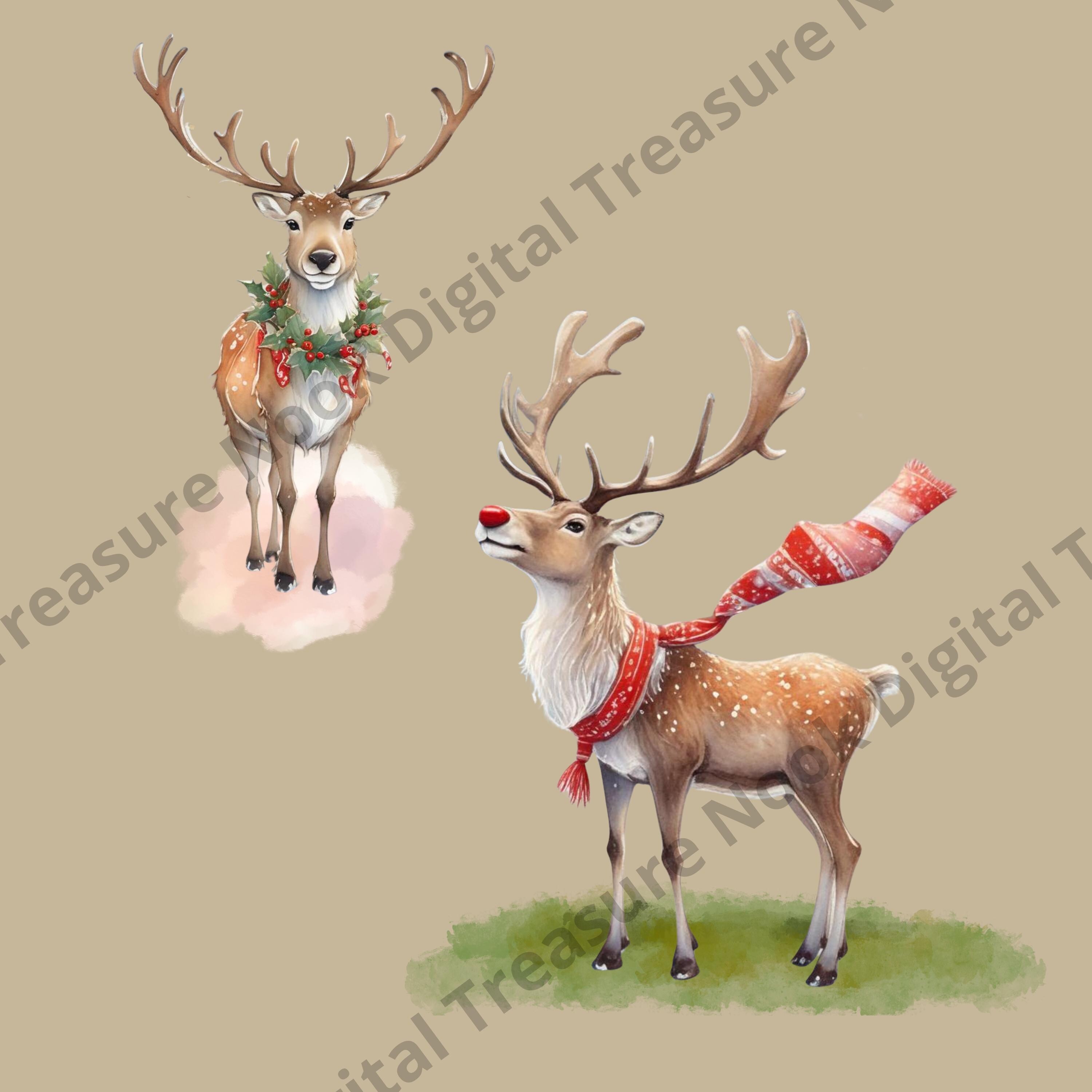 12 Cute Reindeer PNG Clipart Set, Christmas Deer, Watercolor Santa ...