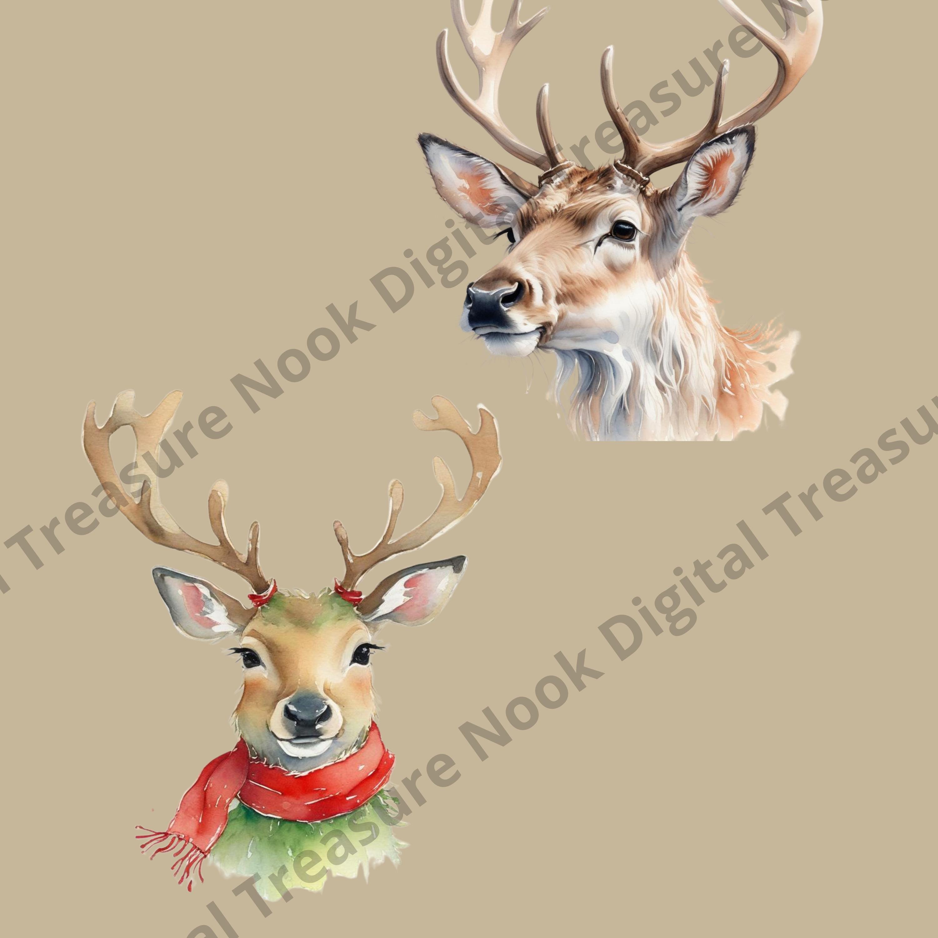12 Cute Reindeer PNG Clipart Set, Christmas Deer, Watercolor Santa ...