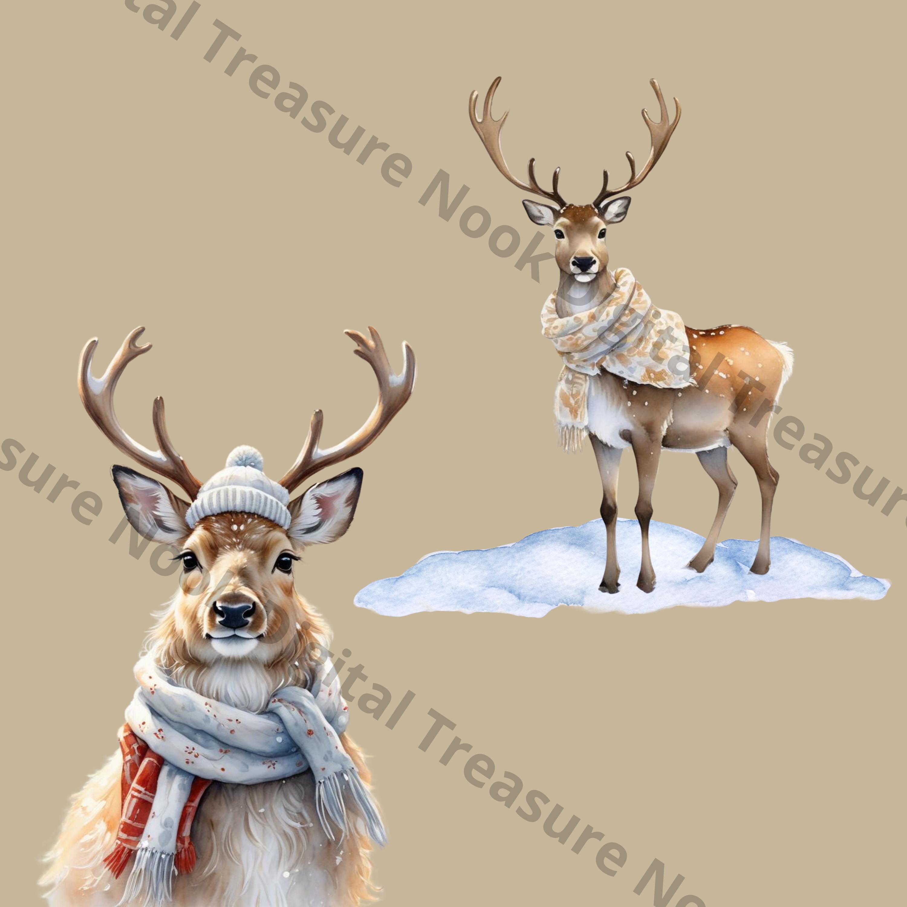 12 Cute Reindeer PNG Clipart Set, Christmas Deer, Watercolor Santa ...