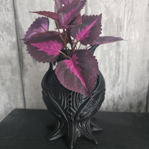 Puede incluir: Un jarrón decorativo negro con un diseño detallado y texturizado, que contiene una planta con hojas de color púrpura oscuro y rosa brillante. Las hojas tienen un borde dentado. El jarrón está sobre una superficie negra.