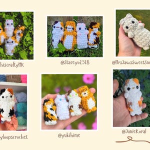 May include: Collection of handmade crochet cat plushies in various colors, including orange, white, black, and brown. Each plushie has unique markings and expressions. The image showcases several individual cat figures.