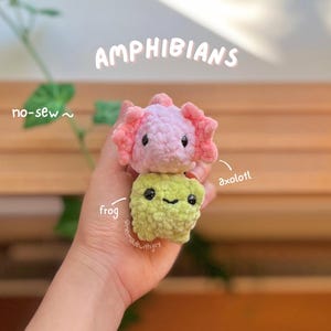 Peut inclure: Deux petites peluches crochetées, un axolotl rose clair avec des branchies frisées et une grenouille vert clair avec un sourire cousu simple. Les deux ont des yeux en perles noires. Le texte indique AMPHIBIANS, no-sew, axolotl et frog.
