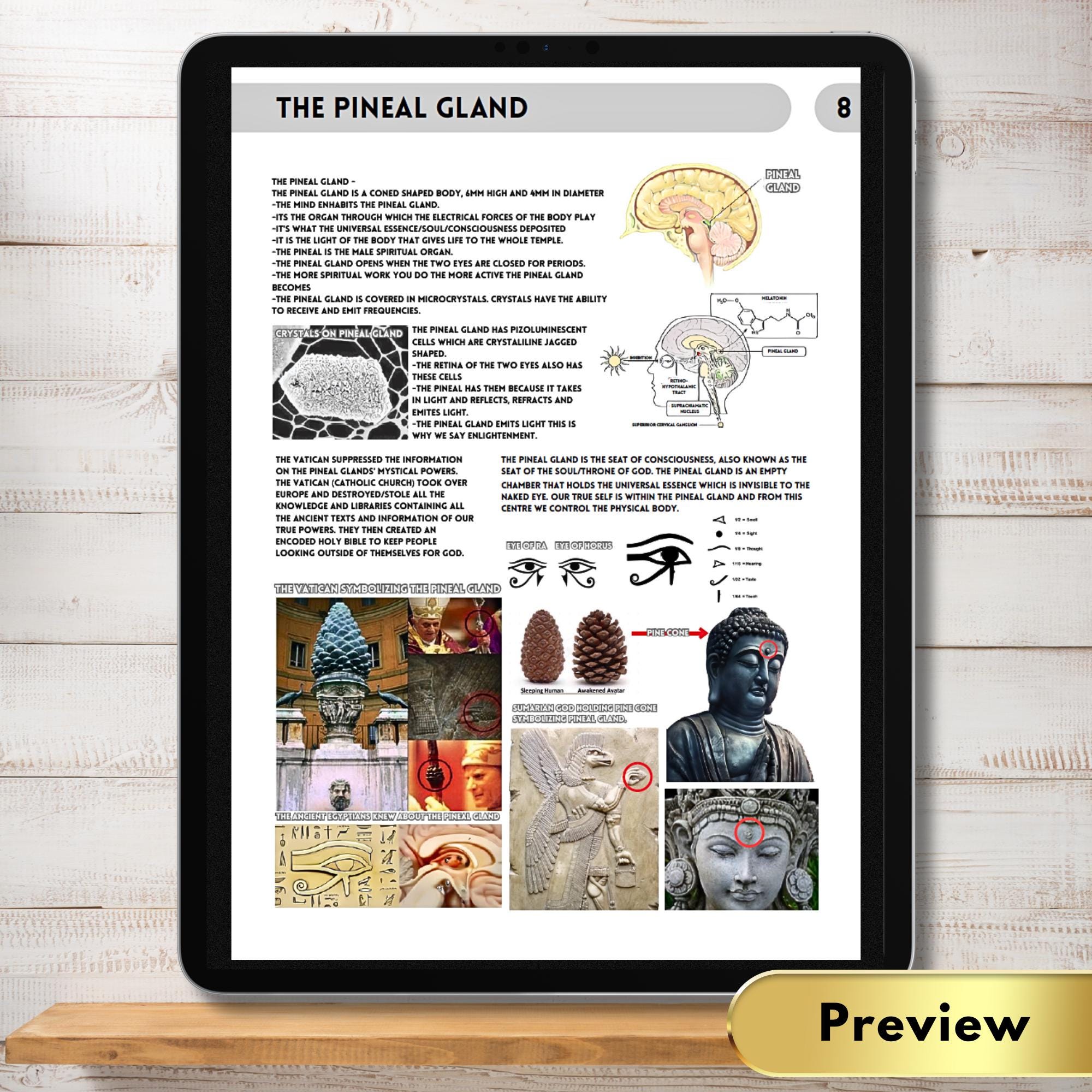 Harry B. Joseph - Book Of Wisdom The Book of Wisdom revival of Wisdom by Harry B. Joseph PDF Colored