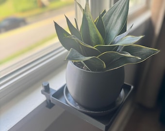 Window Plant Shelf - For planters and decor. Plant Stand clamps to windowsill. Various Sizes