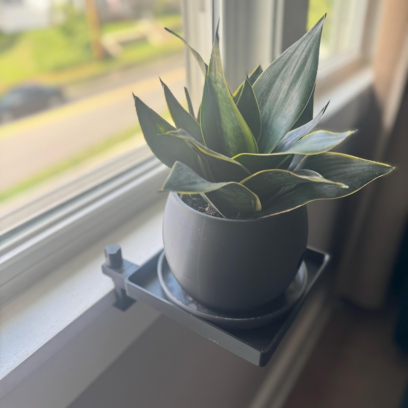 May include: A black metal windowsill plant shelf with a potted snake plant. The plant has dark green and light green leaves.