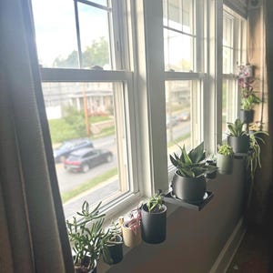 May include: A windowsill with a row of potted plants in black and white planters. The plants are various types of succulents and greenery. The windowsill is white and the wall is a light gray.