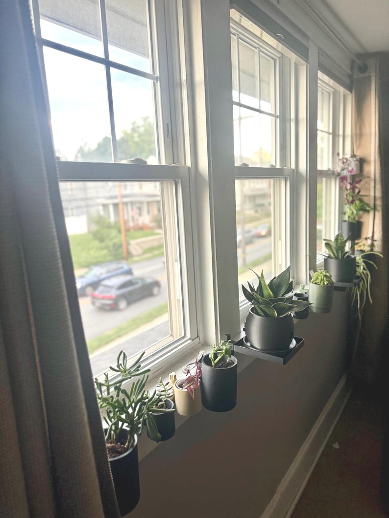 May include: A windowsill with a row of potted plants in black and white planters. The plants are various types of succulents and greenery. The windowsill is white and the wall is a light gray.