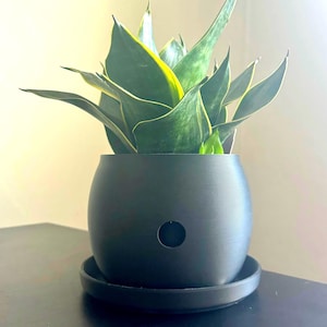 Stylish Self Watering Planter, 3-5 Inch, Water Chamber | Low-Maintenance| Modern | Perfect for Succulents & House Plants