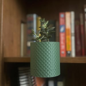 May include: A green ceramic planter with a diamond pattern, holding a small succulent plant. The planter is hanging from a shelf in a bookcase.