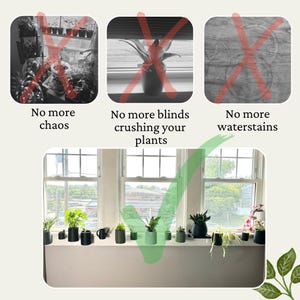 May include: A windowsill with a collection of potted plants in black and green pots. The plants are arranged in a row, with some plants taller than others. The windowsill is white and the background is a blurry view of trees and buildings.