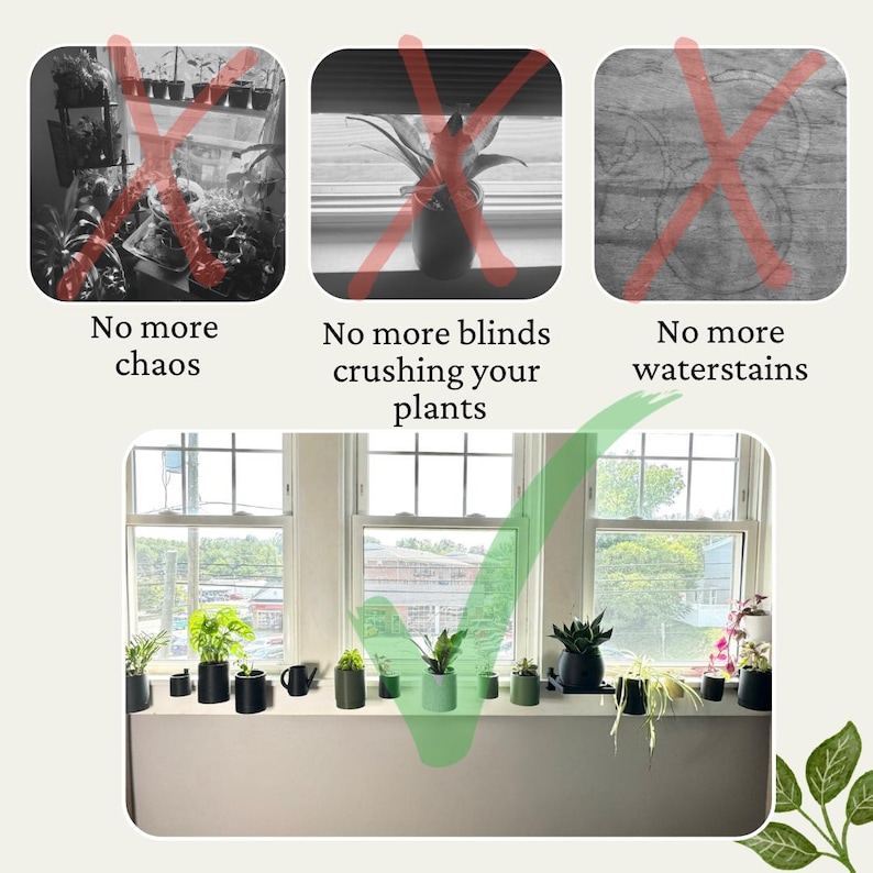 May include: A windowsill with a collection of potted plants in black and green pots. The plants are arranged in a row, with some plants taller than others. The windowsill is white and the background is a blurry view of trees and buildings.