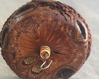 1.17 oz. Banksia Pod Drop Spindle Top Whorl 3660