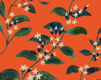 May include: A digital illustration of a stylized Mayflower flower with white blossoms and green leaves on an orange background. The text "NOVA SCOTIA Mayflower" is at the bottom of the image.