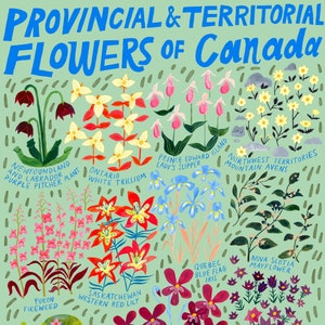 Flores Provinciais e Territoriais do Canadá - Hortelã
