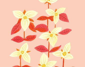 May include: An illustration of Ontario Trillium flowers. The flowers are white with yellow centers and are set against a light pink background. The leaves are red and the stems are orange. The text "ONTARIO Trillium" is at the bottom.