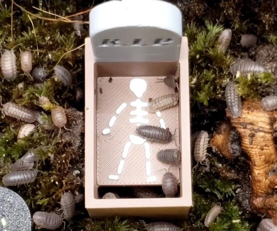 3D Printed Halloween Burial Plot - Hide / Feeder for Isopods and ...