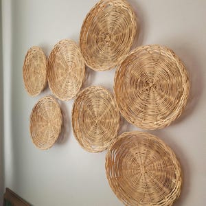 May include: A collection of six circular woven wicker wall baskets in varying sizes, featuring a natural light tan color and a concentric spiral pattern. The baskets are arranged in a cluster, each displaying a distinct woven texture and rim.