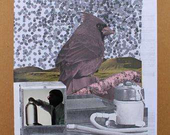 Original Analog Handmade Collage Bird Science