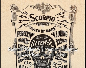 Scorpio Zodiac Poster Horoscope Astrology Astrological Star Sign Print