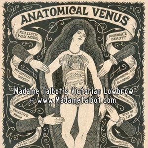 Madame Talbot's Victorian Lowbrow Anatomical Venus Glow in the Dark Poster