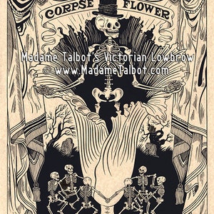 Body Flower Skelett viktorianischer Lowbrow Madame Talbot Poster Print