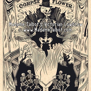 Corpse Flower Skeleton Victorian Lowbrow Madame Talbot Poster Print