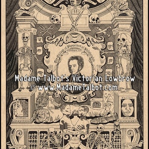 Mutter Museum anatomisches Skelett morbide viktorianischen anspruchslosen Anatomie Poster