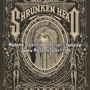 Human Shrunken Head Tsantsa Gothic Lowbrow Poster