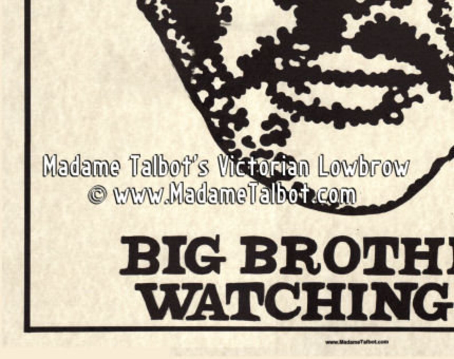 Big Brother is Watching You 1984 Poster - Etsy