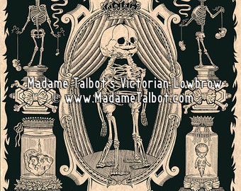 Victorian Lowbrow Anatomy Morbid Medical Museum Fetal Skeleton Poster Print